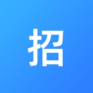 深圳市招财猫互联网金融服务有限公司